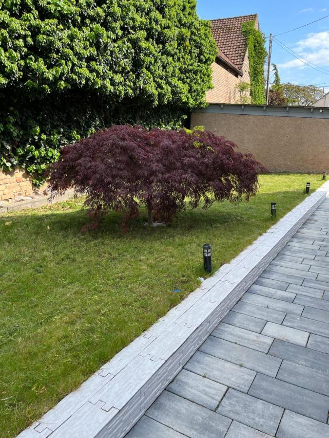 Logement De Charme - W&B House Dorlisheim Экстерьер фото